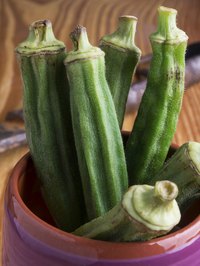 Okra is a popular vegetable in the South, where it is served in gumbo, soups, stews and casseroles.