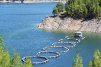 An aerial view of a floating fish farm.