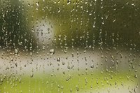 Windows often "sweat" when humidity levels are high in a room.