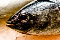 Fresh mackerel have clear eyes, pink gills and an ocean-like smell.