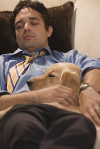 Ambien is meant for people, not dogs.