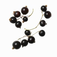 Both creme de cassis and grenadine taste of blackcurrants.