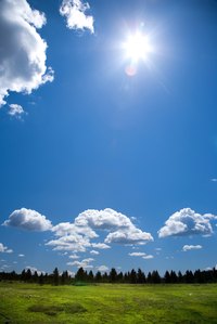 Sunlight kills mold spores.