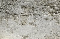 Mortar is found on many different types of walls.