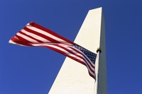 The Washington Monument is surrounded by a ring of American Flags.