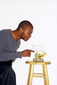 The smaller your fish tank is, the less opportunity your fish has to get away if he becomes frightened.