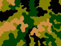 Draw a camo pattern freehand to create a stencil or use a template from nature.