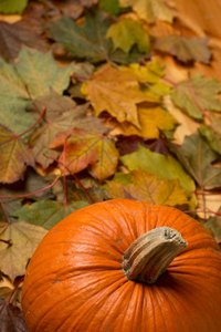 Use fresh pumpkin for pumpkin powder.