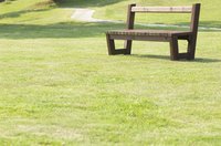 Grass lawn with wooden bench.