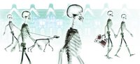 The basics of a skeleton are easily replicated.