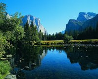 Visitors can tour Yosemite Valley and other areas of the park by car.