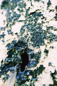 Concrete that has been infected with mold must be dininfected.
