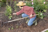 Good cultural methods often can help prevent soil diseases from developing.