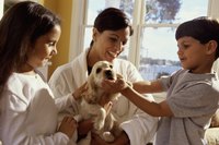 Socialize your pup from an early age.