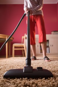 Thorough vacuuming helps eliminate fleas.