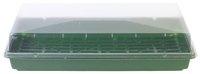 Seed trays have lids to maintain the temperature and humidity level.