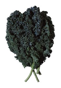 Kale grows well in temperate climates for most of the year.