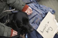 Female heads of households constitute more than half of Michigan's homeless.