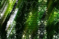 Etching can be done in a number of ways.