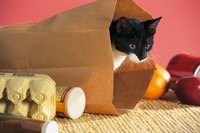 He'll hide out and watch his "prey" before pouncing.