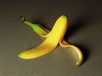 The banana peel is a waste product no longer.