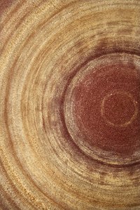 You'll need two wide slices of hardwood for this project.