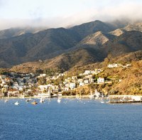 Catalina Island bills itself as the Island of Romance.