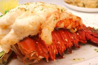 Roasting removes excess water from lobster meat, making it denser and sweeter.