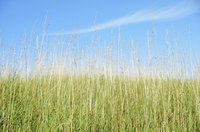 Tackle your overgrown landscape with sharpened Bush Hog mower blades.