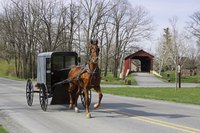 Horse-powered carriages share the road with motorized vehicles in Lancaster, Pennsylvania.