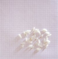 Use a long-grain white rice in your rice and gandules.