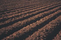Freshly tilled soil.