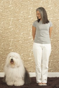 Whether purebred or half-breed, that pup's health depends on his lineage.
