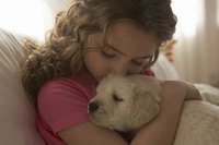 Hold your puppy to socialize and bond with him.