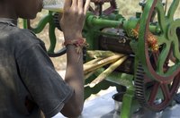 A youth drinking freshly pressed cane juice in Equador.