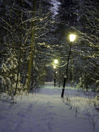 Create the magical fantasy land of Narnia with themed decor.
