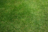 New sod should not be laid over old sod.