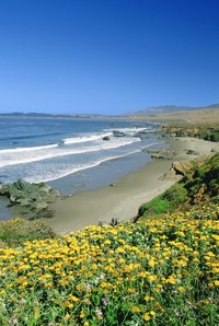You can enjoy natural and man-made wonders at San Simeon State Park.