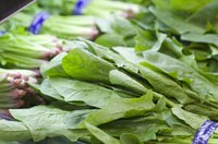 Bunches of spinach.