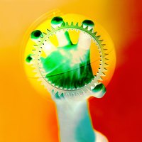 The gear: a symbol of efficiency and work.