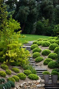 Planting a slope can be both challenging and rewarding.