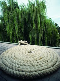 Weeping willow trees are susceptible to fungal and bacterial diseases.