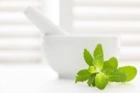 Over 600 different varieties of mint are available.