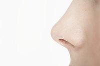 Human nose profile.