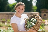 Grow short-season vegetable varieties to encourage quick production during the brief desert growing windows.