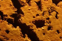 Cork is a natural substance with a cellular structure.