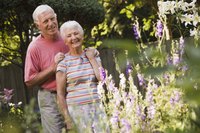 Smiling elderly couple in a garden.