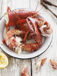 The knuckle is the section of the lobster attached to the claw.