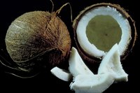 If it's not completely fresh, the water inside your coconut might begin to ferment.