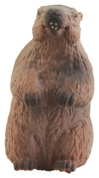 Poisoned baits can effectively kill gophers.